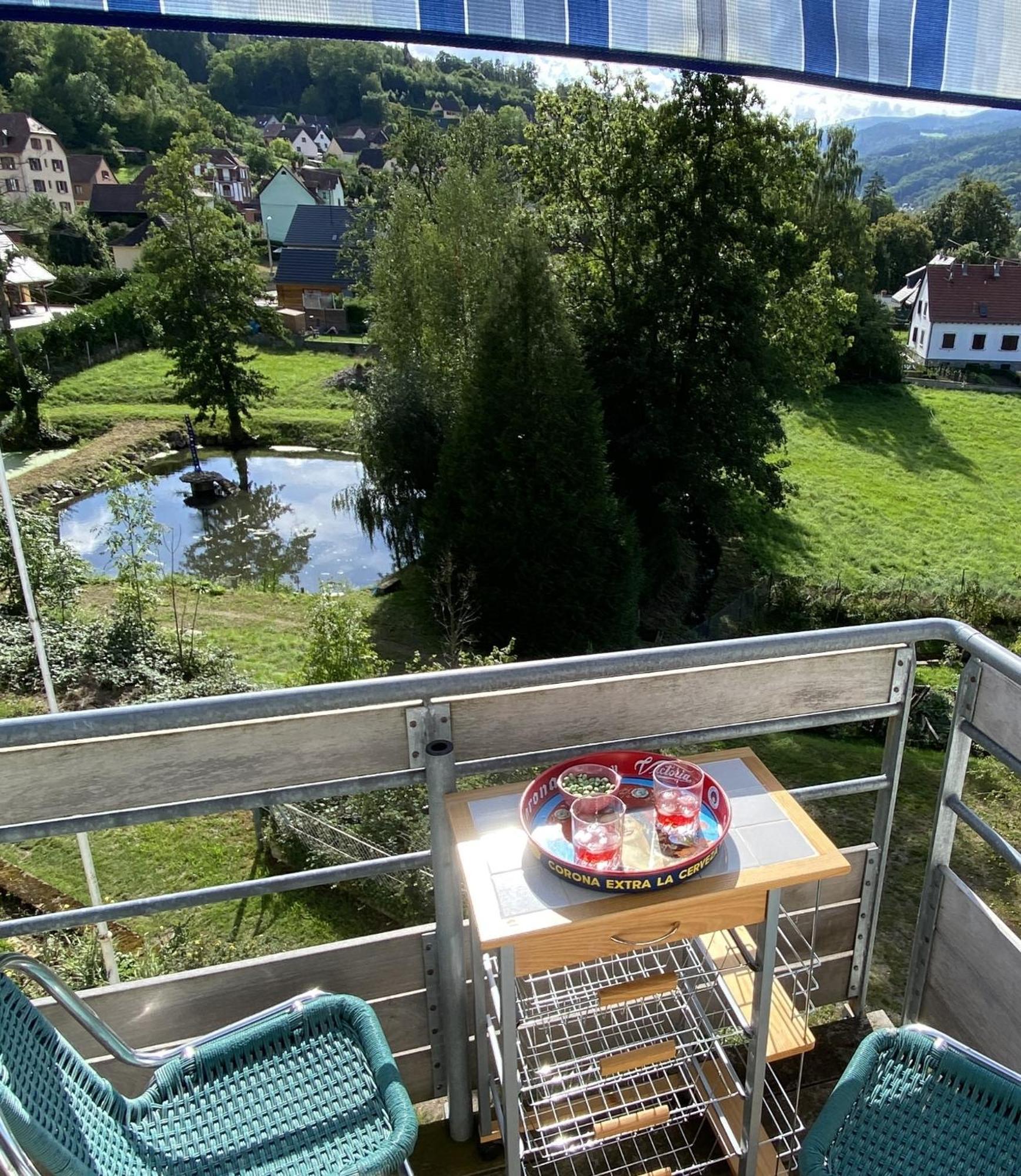 Appartements Maison Bellevue Munster  Pokoj fotografie